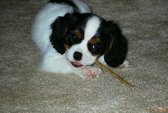 Lucas_19990706_02.jpg (107677 bytes)