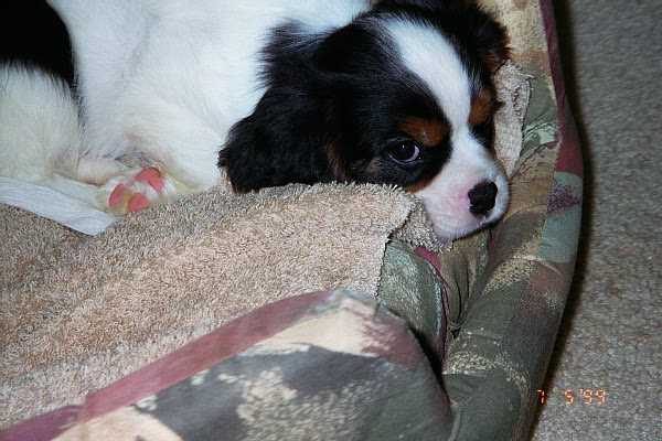 Lucas_19990706_03.jpg (33807 bytes)