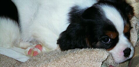 Lucas_19990706_04.jpg (54494 bytes)